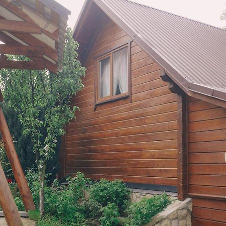 Будиночок В Карпатах 亚列姆切 外观 照片